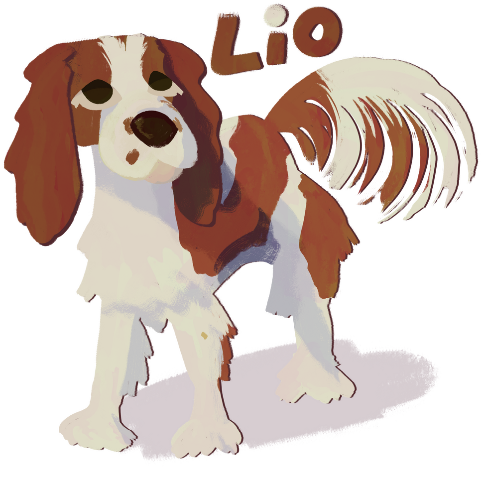 DoodleDog DoodleDog